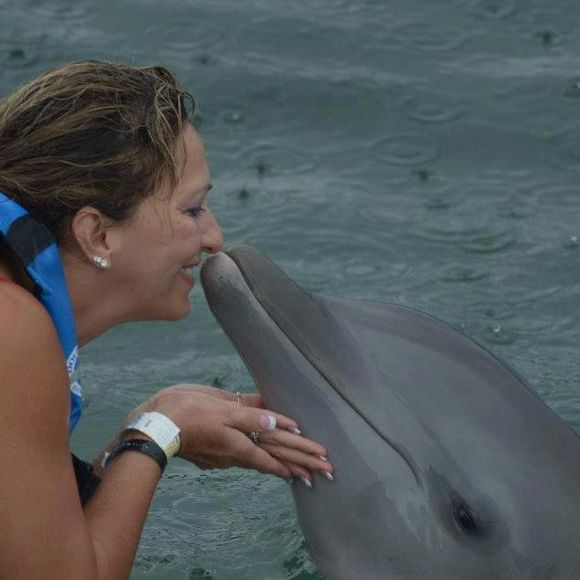 Meet your Posher, Rose - Picture 1 of 1